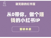 谢无敌·小红书运营大宝典，从0带你做个赚钱的小红书IP
