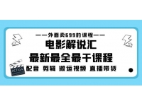 外面卖699的电影解说汇最新最全最干课程：电影配音剪辑搬运视