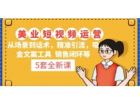 5套·美业短视频运营课从场景到话术·精准引流·吸金文案工具·