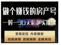 刘广标·同城房产号线上陪跑课，拍摄、剪辑、写文案、直播，做一
