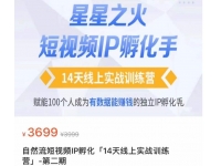瑶瑶·自然流短视频IP孵化第二期，14天线上实战训练营，赋能