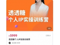 透透糖2023个人IP实操训练营，基础准备+短视频实操+高手
