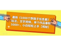 【7070期】最新《1000个野路子信息差》玩法，文字视频，