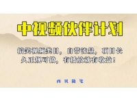 【6821期】中视频伙伴计划玩法！长久正规稳定，有播放就有收