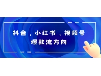 【6698期】抖音，小红书，视频号爆款流视频制作，简单制作掌