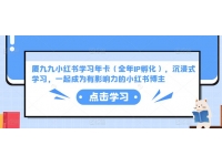 厦九九小红书学习年卡（全年IP孵化），沉浸式学习，一起成为有