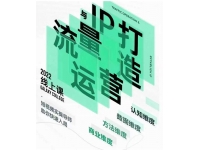 大蓝流量运营&个人ip打造课，短视频带货/爆款文案/