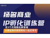 王扬名·商业IP孵化训练营2.0，从商业到内容到转化一站式学