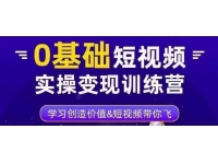 薛辉·0基础短视频实操变现训练营，3大体系成就百万大V