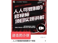 进击的小徐·人人可复制的短视频5个项目，实操讲解年销售额八位