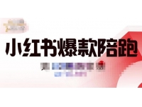 贾真小红书陪跑班第11期，从人设定位，账号设置，选品思路，拍