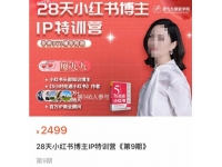 夏九九·28天小红书博主IP训练营，掌握小红书顶层逻辑，做爆