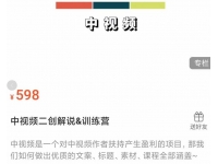 中视频二创解说训练营：从0到精通文案+标题+素材、月入500
