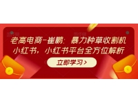 老高电商-崔鹏：暴力种草收割机小红书，小红书平台全方位解析