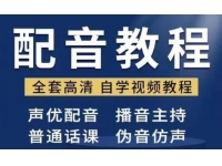 配音怎么学？配音培训教学视频教程，教你从零开始学配音