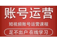 抖音短视频账号运营课程，从注册账号到运营再到直播带货全流程解