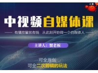 《中视频自媒体训练课》原创和二次剪辑的玩法，有播放量就有钱