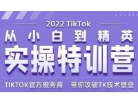 Seven漆《Tiktok从小白到精英实操特训营》带你掌握T