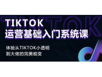 《Tiktok运营基础入门系统课》从tiktok小白到大佬的