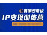 群响《IP变现训练营5-6期》N多行业内幕骚操作，亲身拆解教