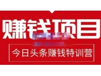懒人领域《今日头条中视频项目玩法》单号收益在50到500可批