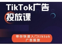 《跨境B哥TIKTOK广告投放课》带你快速入门TIKTOK广