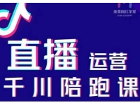 美尊《抖音直播运营千川系统课》直播?运营规划、起号、主播培养