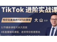 大山《TikTok进阶实战课》账号详解，流量运营，实战变现