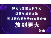 张sir《抖音账号流量增长课》告别海王流量，让你的流量更精准