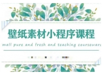 闪闪《壁纸号运营教程》抓住图文风口，快速吸粉变现