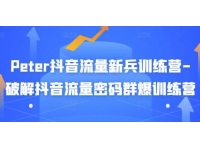 《PETER抖音流量新兵训练营》破解抖音流量密码群爆训练营