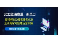 《短视频SEO搜索排名优化+企业号定位搭建运营实操》蓝海赛道