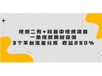 《视频二剪+抖音中视频项目》一条视频获得3个平台流量分成 收