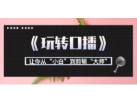 月营业额700万+大佬教您《玩转口播》让你从小白到剪辑大师
