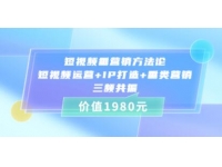 《短视频垂营销方法论》短视频运营+IP打造+垂类营销，三频共