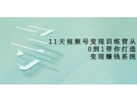 好望角《11天视频号变现训练营》从0到1打造变现赚钱系统
