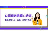 《口播镜头表现力培训》整套逻辑人设、选题、文案和表达！