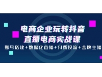 《电商企业玩转抖音直播电商实战课》账号搭建+数据化直播+付费