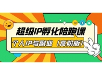 《超级IP孵化陪跑课》个人IP与副业（高阶版）