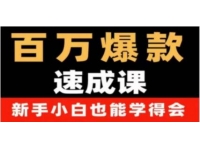 《抖音短视频百万爆款速成课》用数据思维做爆款，从0-1打造百