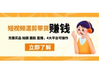 《短视频带货赚钱混剪特训营》无需囤货发货 拍摄 露脸 直播，
