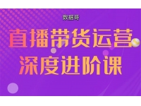 数据哥《直播带货运营深度进阶课》