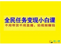 林教头《抖音全民任务变现小白课》