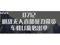 抖音无人直播暴力带货车载U盘必出单，单号单日产出300纯利润