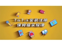 疯人院《TikTok安装注册保姆级实操课》