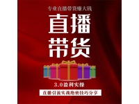 锡恩《直播带货3.0盈利实操课》