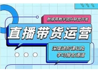 数据哥《直播带货运营课》