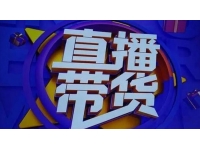 君朋电商《真正的直播带货?实操课》