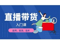 凡高《直播带货入门课》