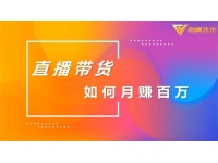 创嬴文化《直播带货如何月赚百万》